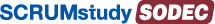 Logo oficial Scrum for Operations and DevOps Expert Certified